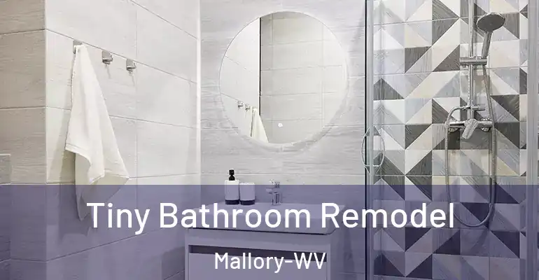 inner Bathroom imggen Tiny Bathroom Remodel Mallory-WV
