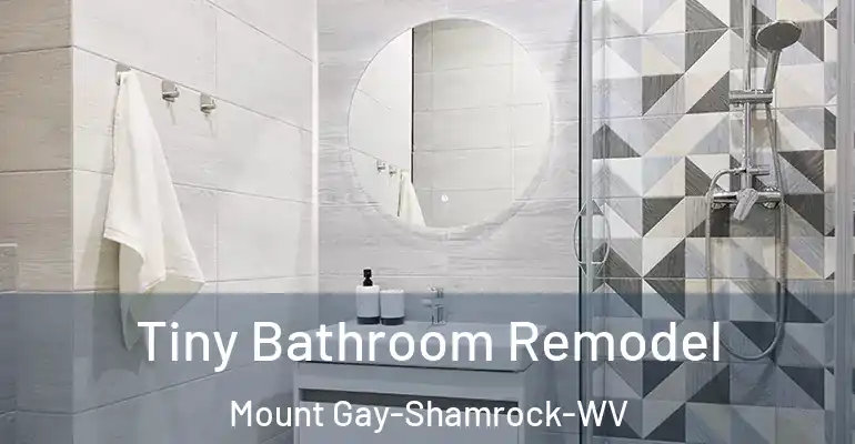 inner Bathroom imggen Tiny Bathroom Remodel Mount Gay-Shamrock-WV
