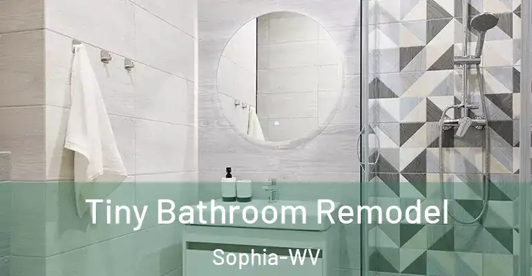 inner Bathroom imggen Tiny Bathroom Remodel Sophia-WV