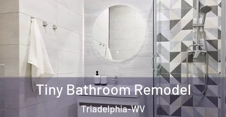 inner Bathroom imggen Tiny Bathroom Remodel Triadelphia-WV