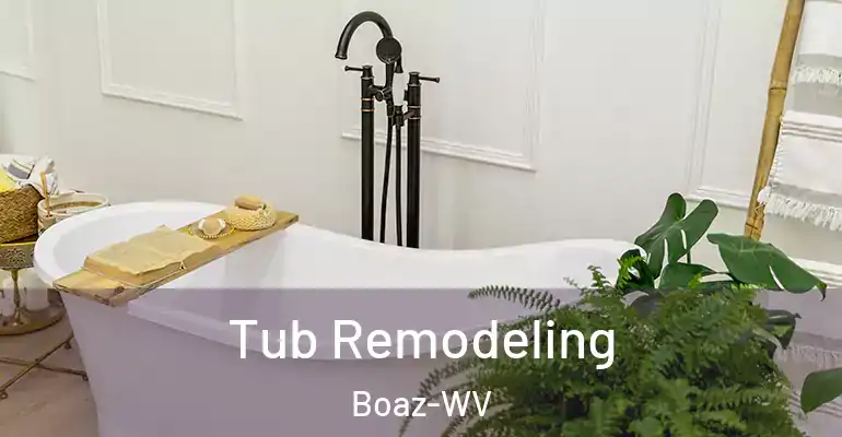 inner Bathroom imggen Tub Remodeling Boaz-WV