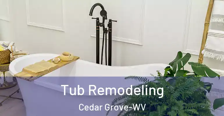 inner Bathroom imggen Tub Remodeling Cedar Grove-WV