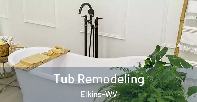 inner Bathroom imggen Tub Remodeling Elkins-WV