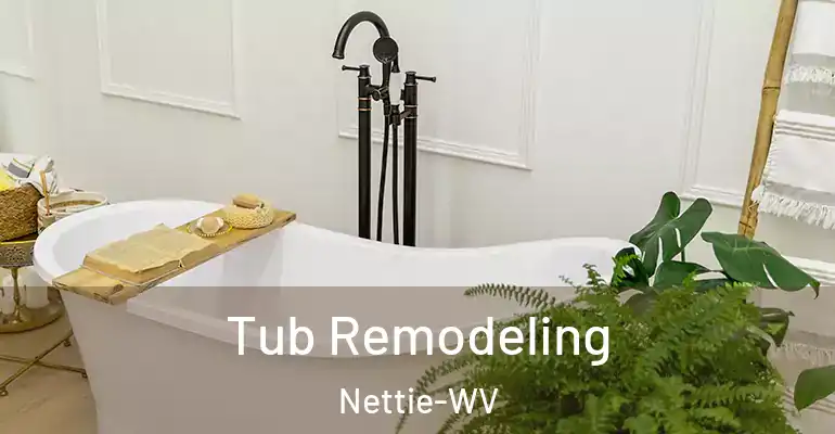 inner Bathroom imggen Tub Remodeling Nettie-WV