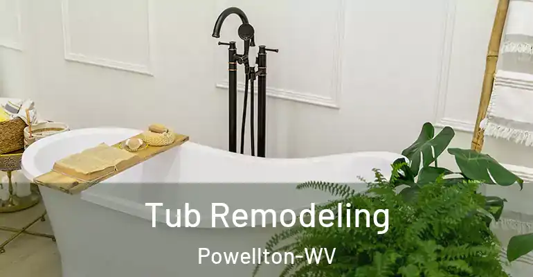 inner Bathroom imggen Tub Remodeling Powellton-WV