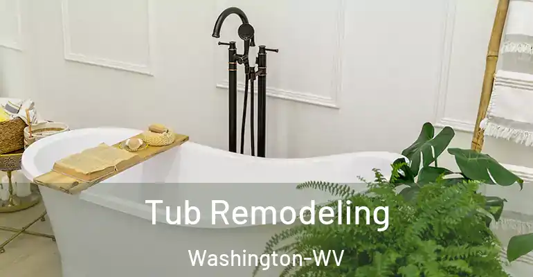 inner Bathroom imggen Tub Remodeling Washington-WV