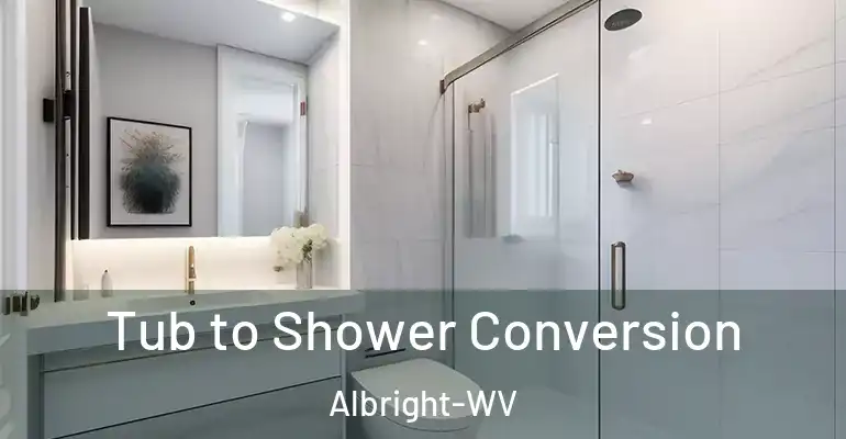 inner Bathroom imggen Tub to Shower Conversion Albright-WV