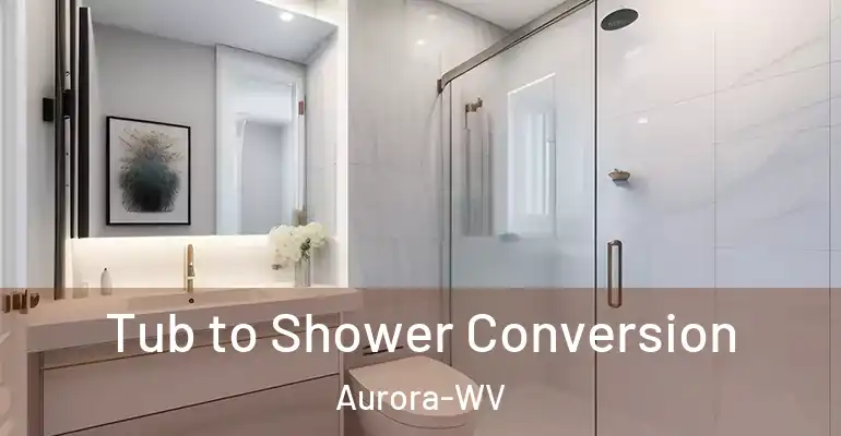 inner Bathroom imggen Tub to Shower Conversion Aurora-WV