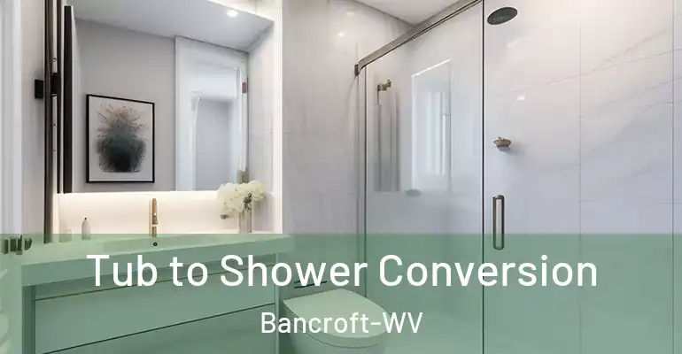 inner Bathroom imggen Tub to Shower Conversion Bancroft-WV