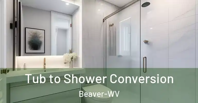 inner Bathroom imggen Tub to Shower Conversion Beaver-WV