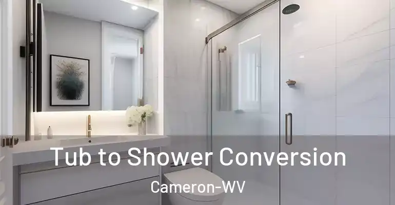 inner Bathroom imggen Tub to Shower Conversion Cameron-WV