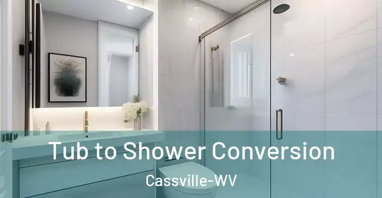inner Bathroom imggen Tub to Shower Conversion Cassville-WV