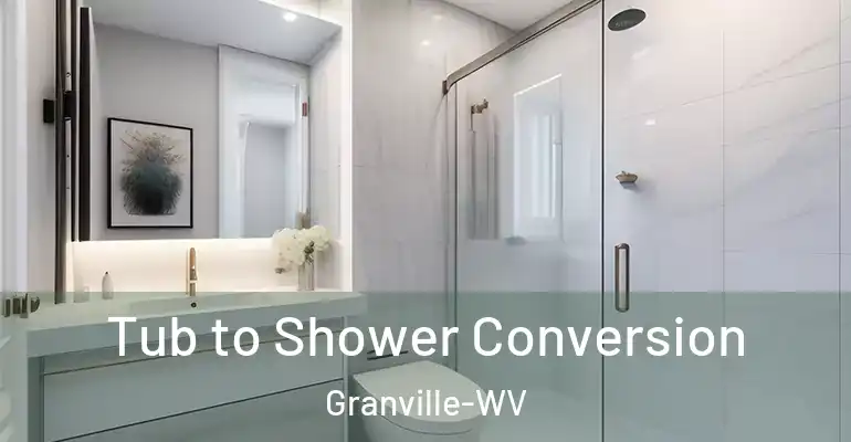 inner Bathroom imggen Tub to Shower Conversion Granville-WV