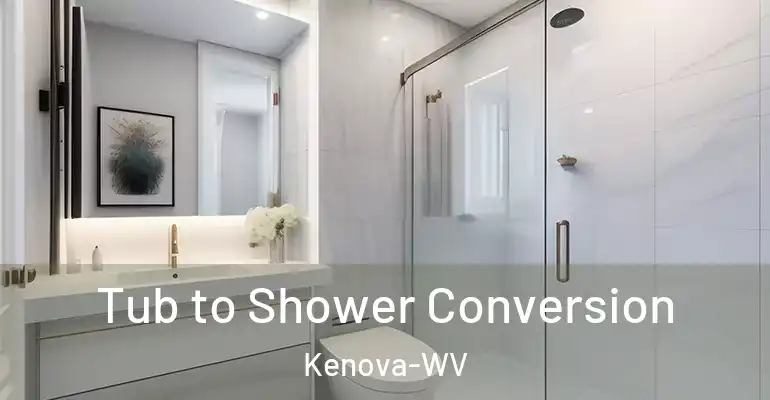 inner Bathroom imggen Tub to Shower Conversion Kenova-WV