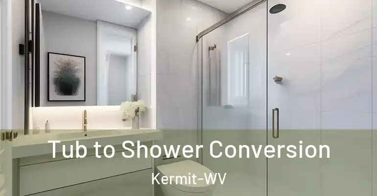 inner Bathroom imggen Tub to Shower Conversion Kermit-WV