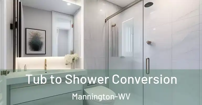 inner Bathroom imggen Tub to Shower Conversion Mannington-WV