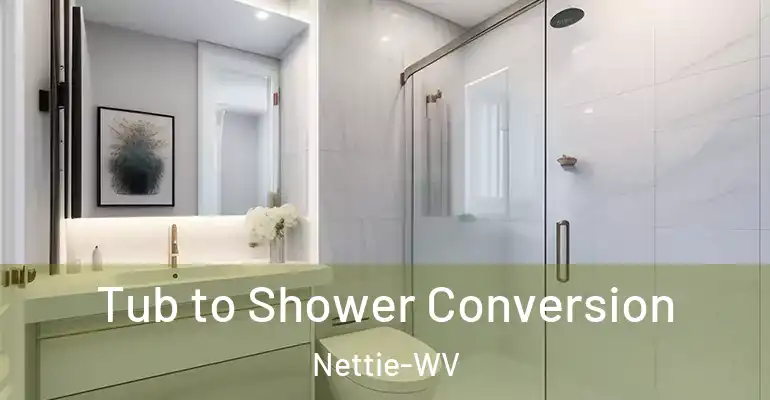 inner Bathroom imggen Tub to Shower Conversion Nettie-WV