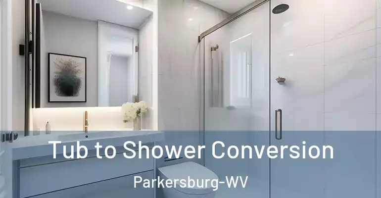 inner Bathroom imggen Tub to Shower Conversion Parkersburg-WV