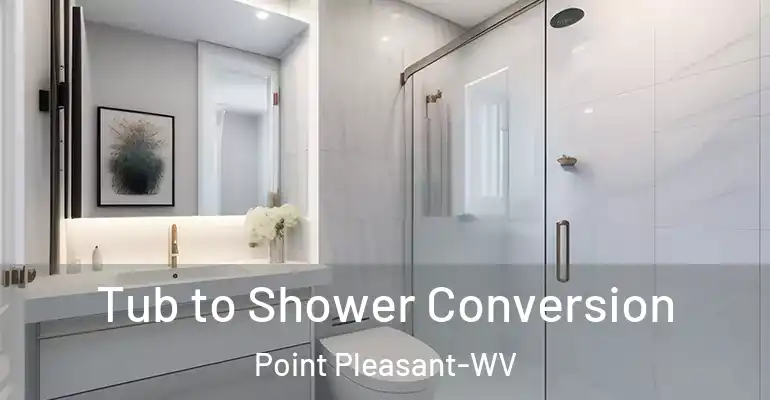 inner Bathroom imggen Tub to Shower Conversion Point Pleasant-WV