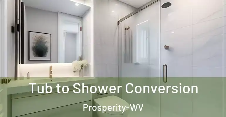 inner Bathroom imggen Tub to Shower Conversion Prosperity-WV