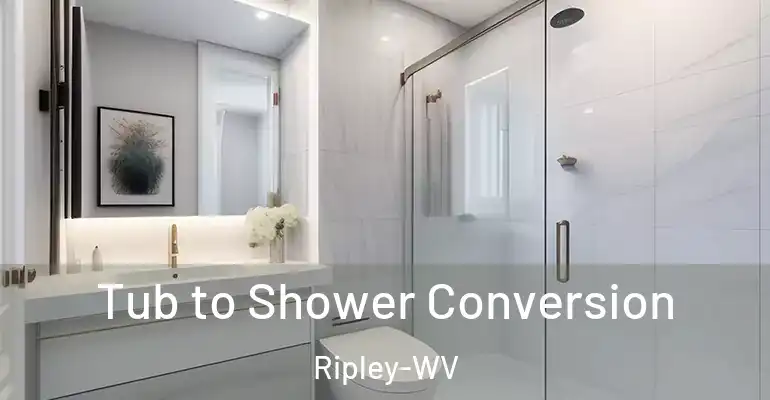 inner Bathroom imggen Tub to Shower Conversion Ripley-WV