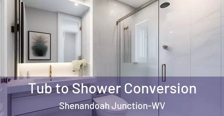 inner Bathroom imggen Tub to Shower Conversion Shenandoah Junction-WV