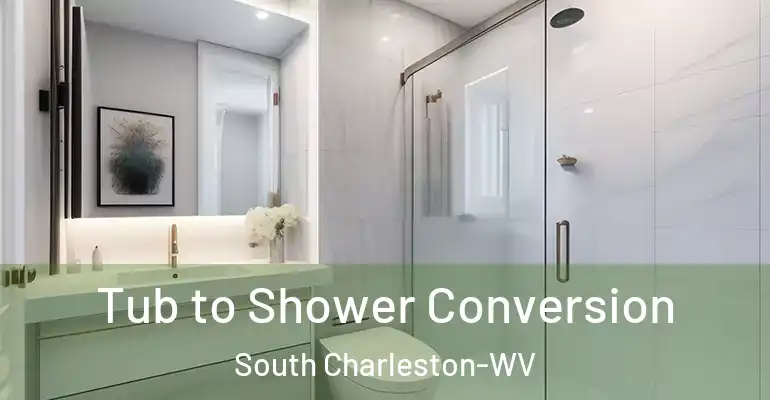 inner Bathroom imggen Tub to Shower Conversion South Charleston-WV