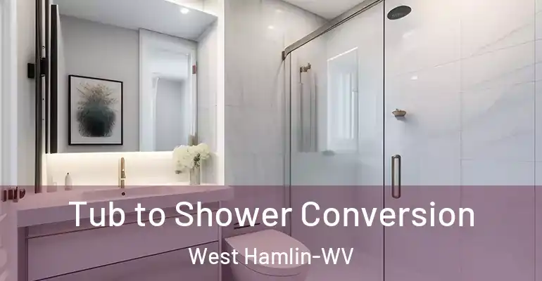 inner Bathroom imggen Tub to Shower Conversion West Hamlin-WV