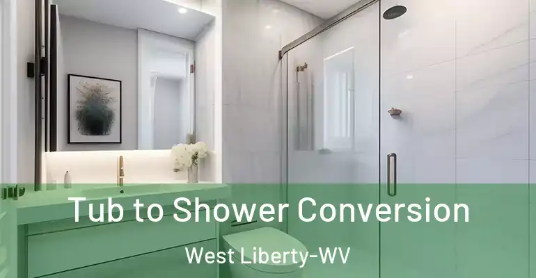 inner Bathroom imggen Tub to Shower Conversion West Liberty-WV