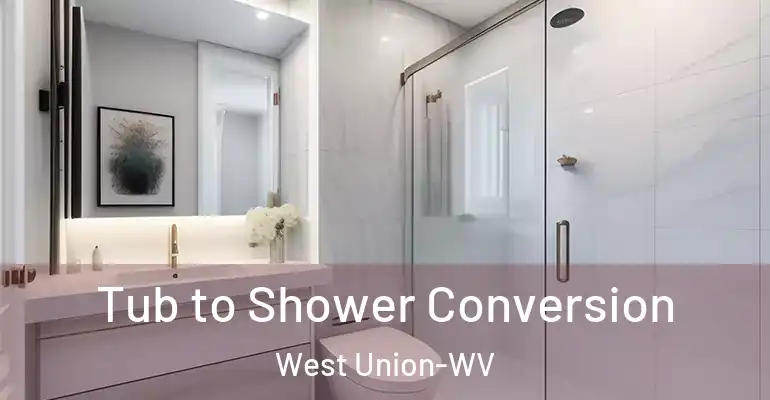 inner Bathroom imggen Tub to Shower Conversion West Union-WV