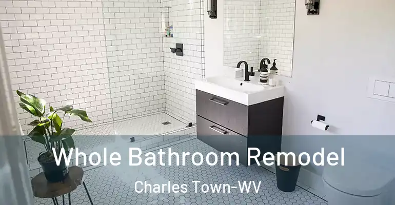 inner Bathroom imggen Whole Bathroom Remodel Charles Town-WV