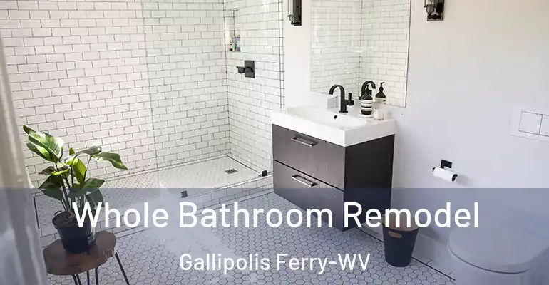 inner Bathroom imggen Whole Bathroom Remodel Gallipolis Ferry-WV
