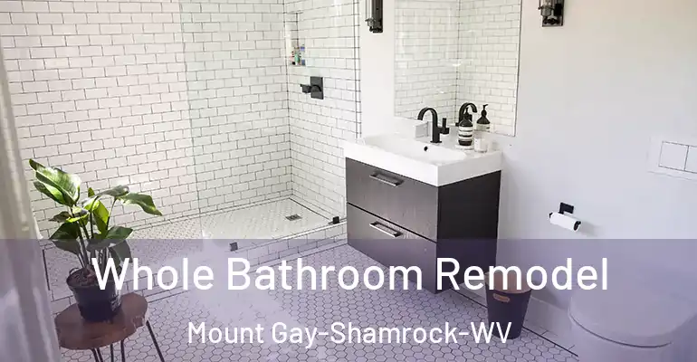 inner Bathroom imggen Whole Bathroom Remodel Mount Gay-Shamrock-WV
