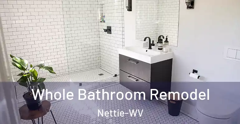 inner Bathroom imggen Whole Bathroom Remodel Nettie-WV