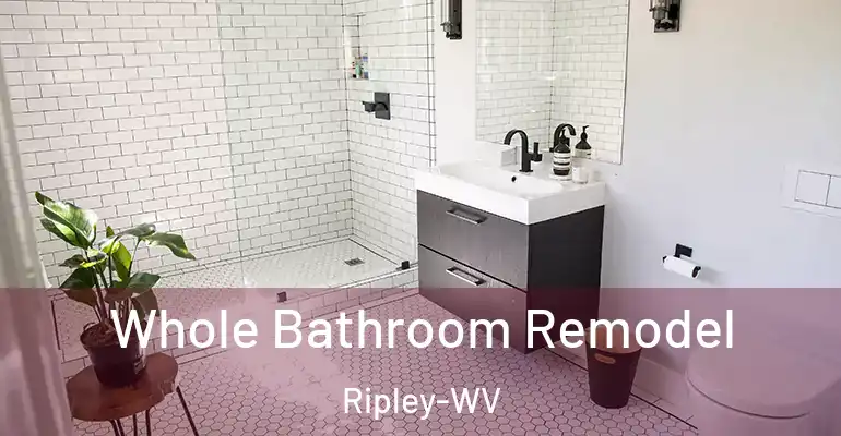 inner Bathroom imggen Whole Bathroom Remodel Ripley-WV