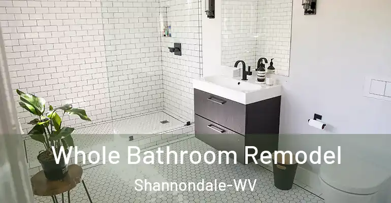 inner Bathroom imggen Whole Bathroom Remodel Shannondale-WV