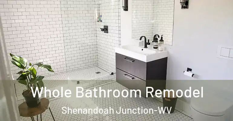 inner Bathroom imggen Whole Bathroom Remodel Shenandoah Junction-WV