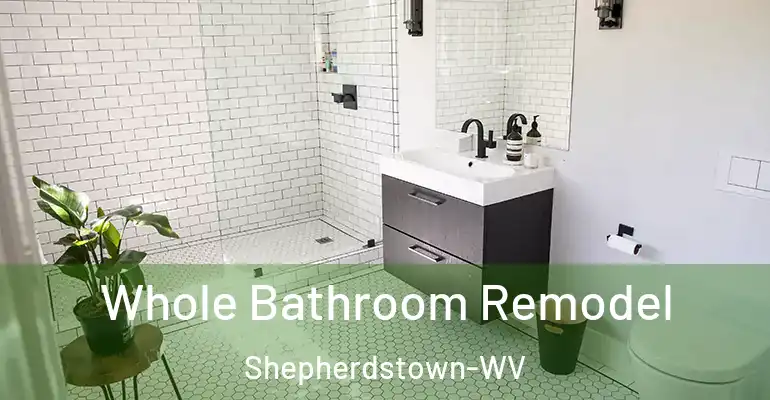 inner Bathroom imggen Whole Bathroom Remodel Shepherdstown-WV
