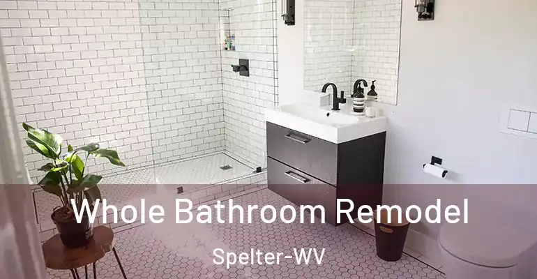 inner Bathroom imggen Whole Bathroom Remodel Spelter-WV