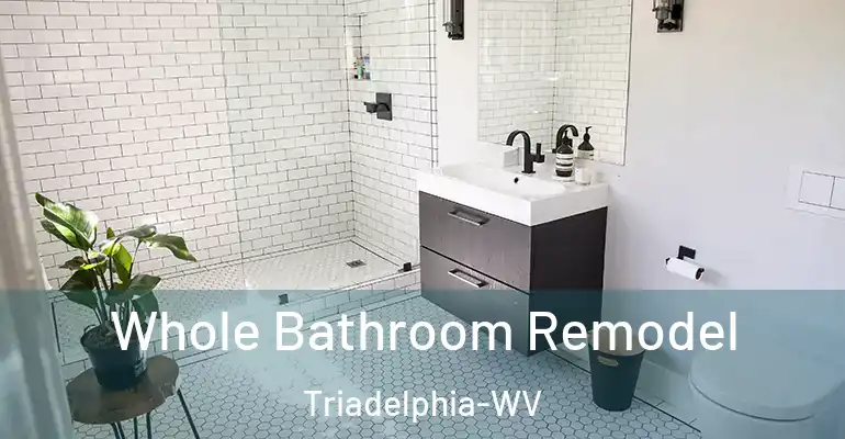inner Bathroom imggen Whole Bathroom Remodel Triadelphia-WV